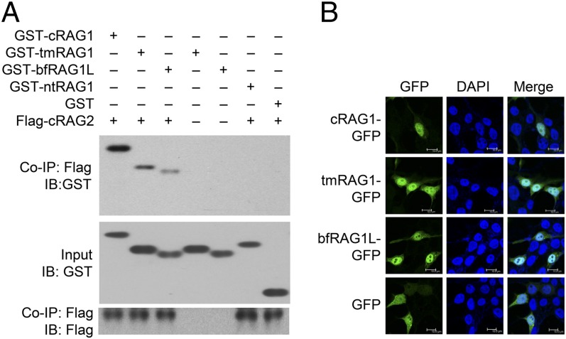 Fig. 3.