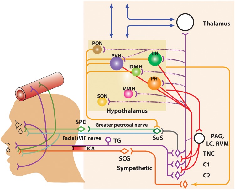 Figure 2.