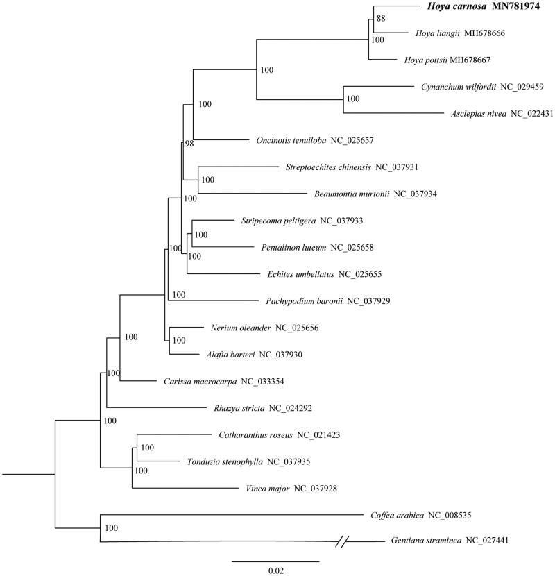 Figure 1.