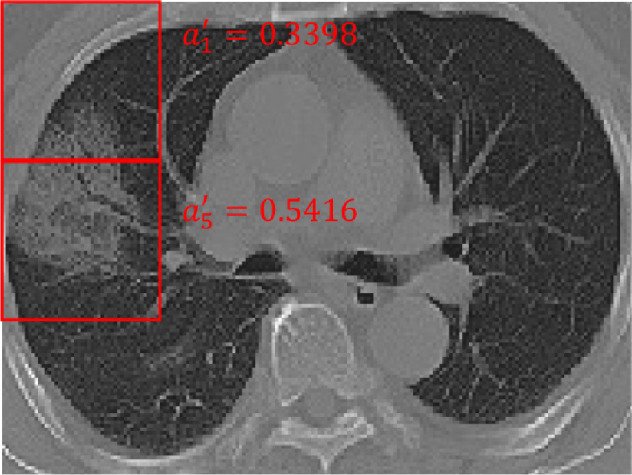 Fig. 5