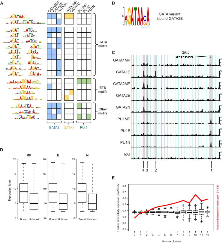 Figure 2