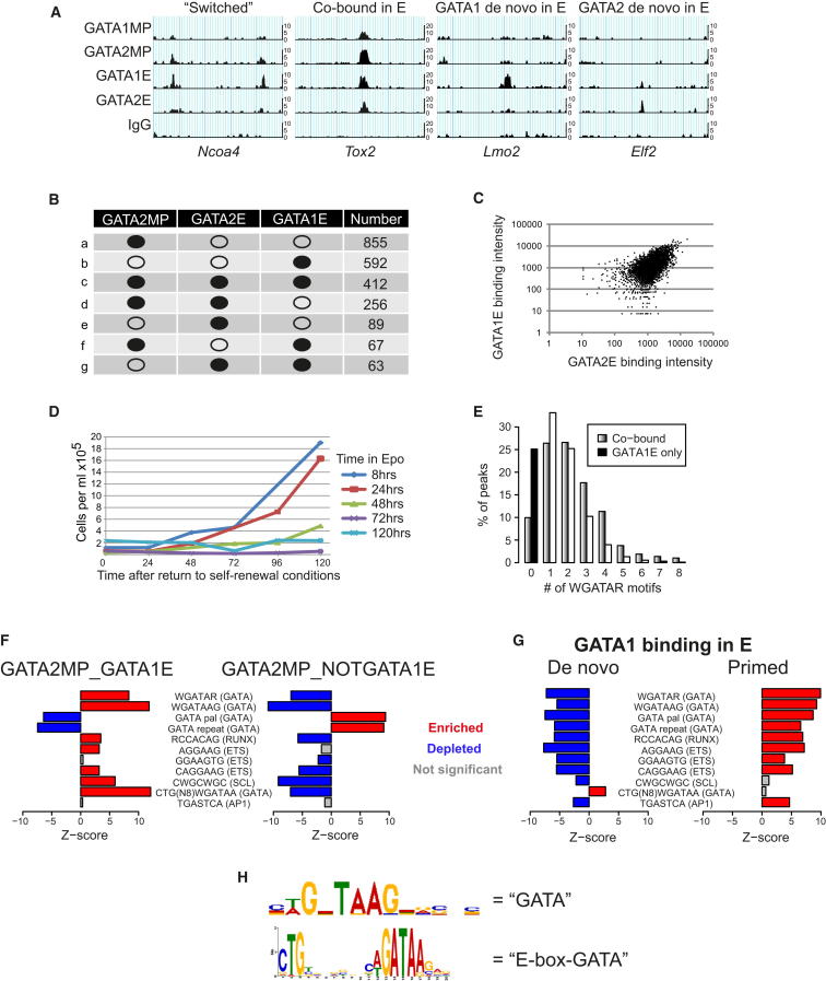 Figure 3