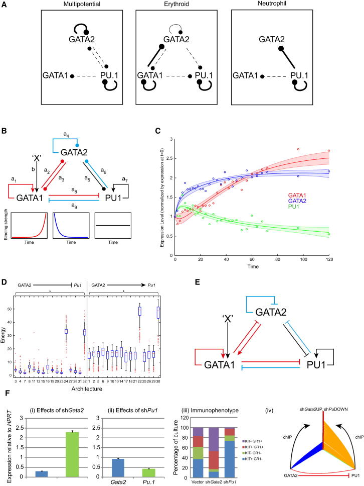 Figure 6