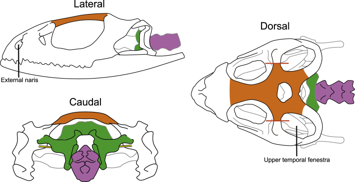 Fig. 4