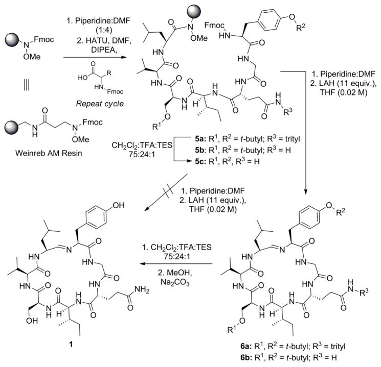 Scheme 1