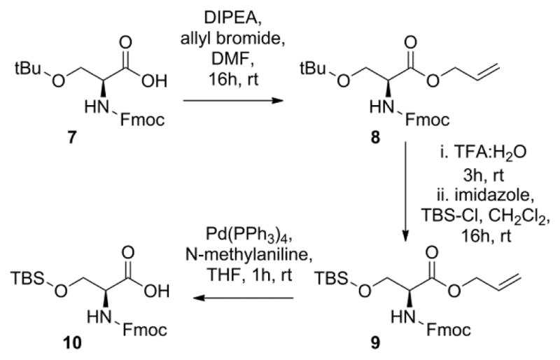 Scheme 2