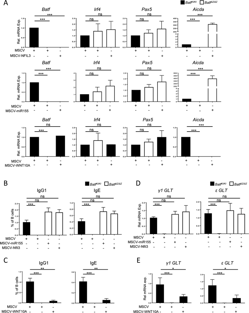 Figure 7: