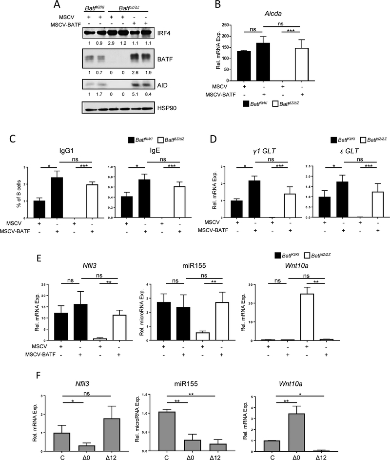 Figure 5: