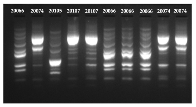 Figure 5