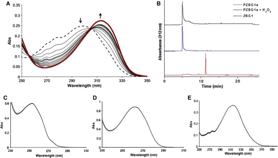 Fig. 2