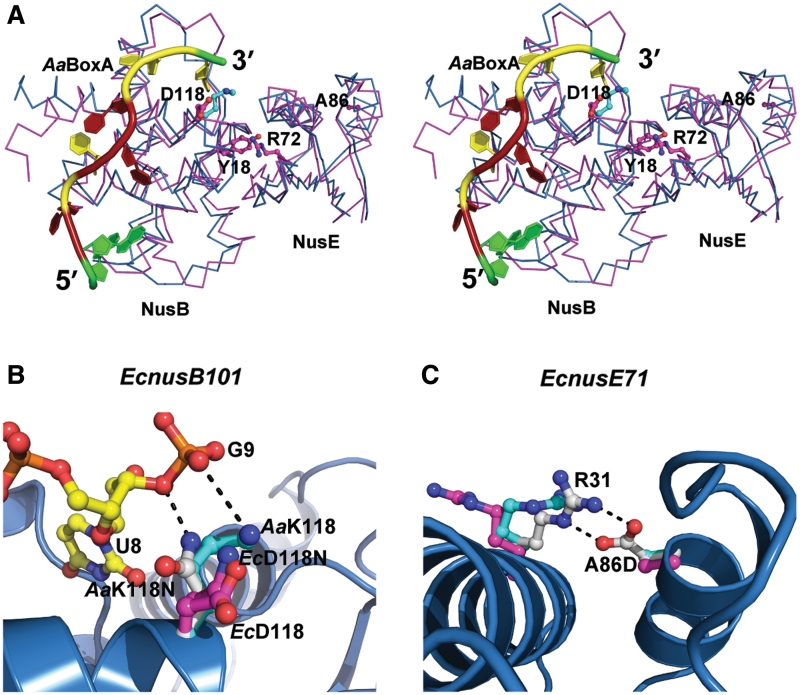 Figure 4.