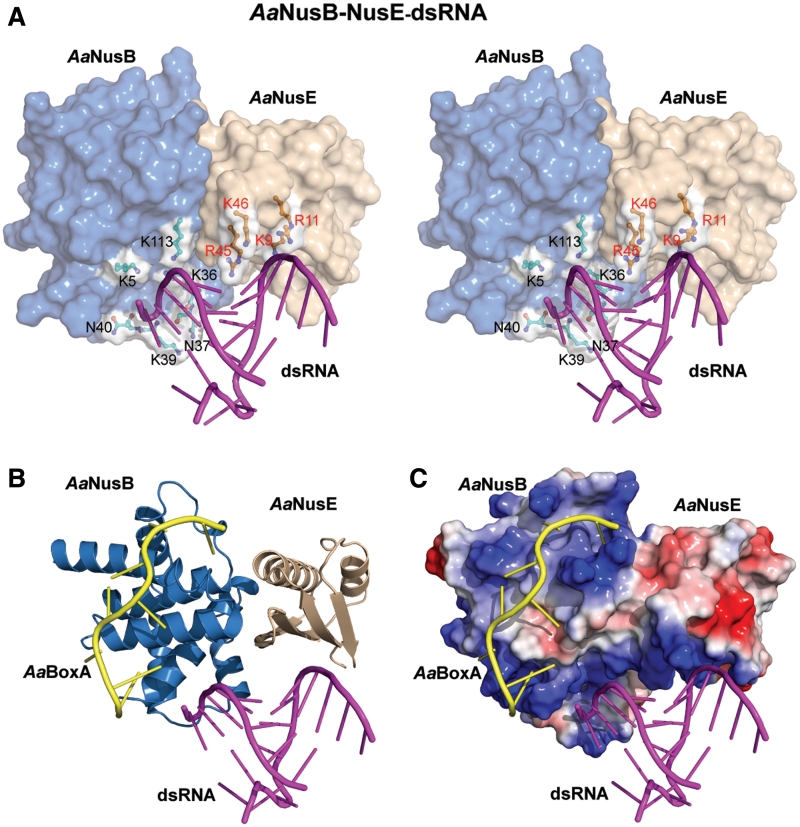 Figure 5.