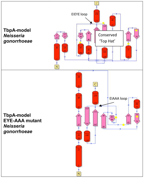 Fig. 9