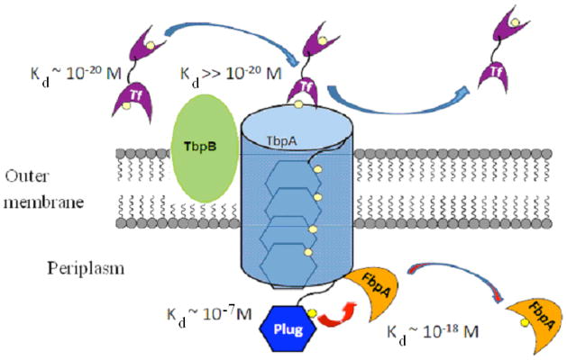 Fig. 10