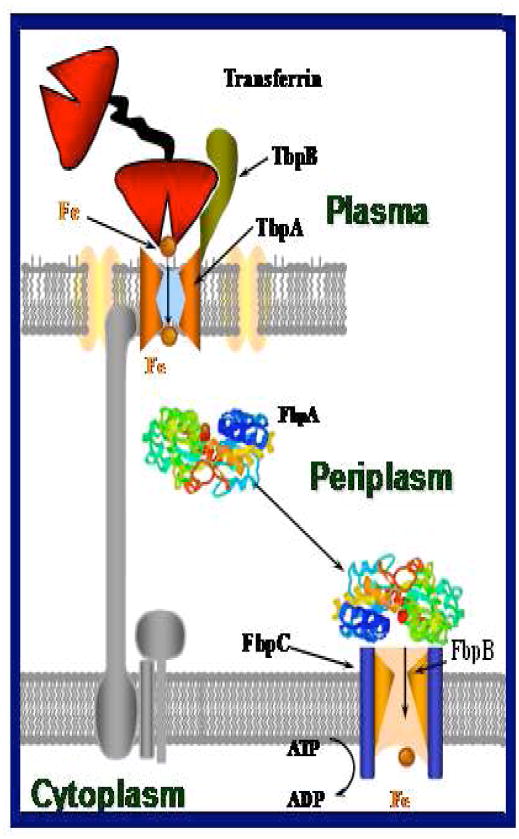 Fig. 1