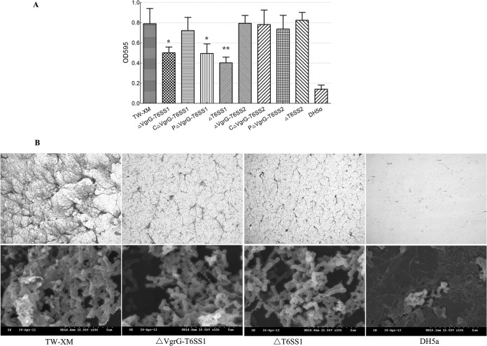 FIG 3