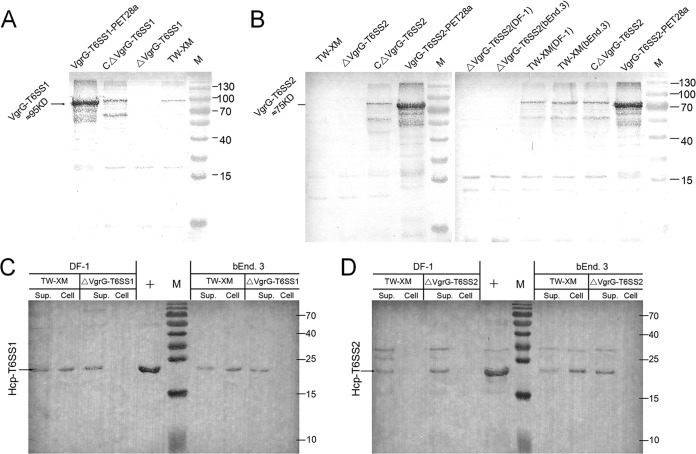 FIG 2