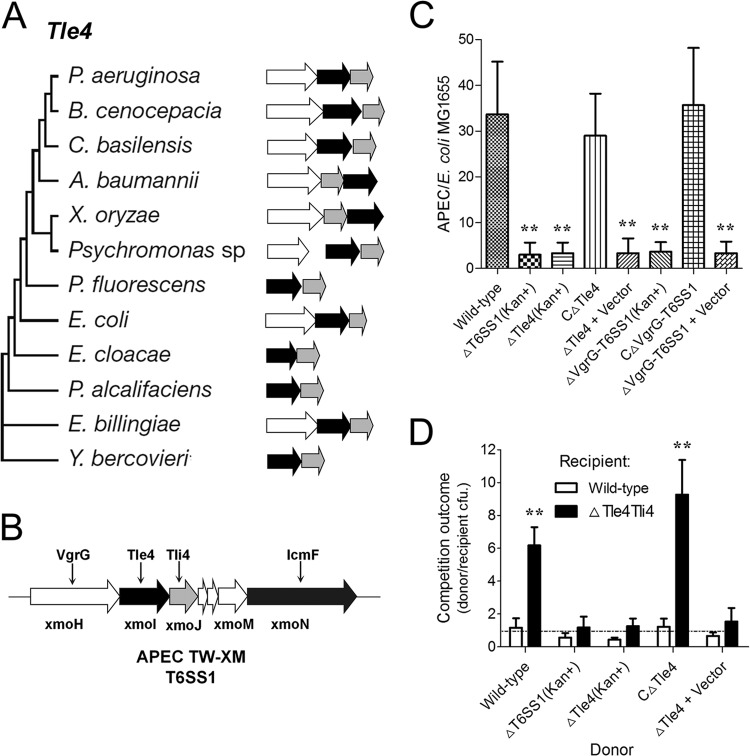 FIG 4