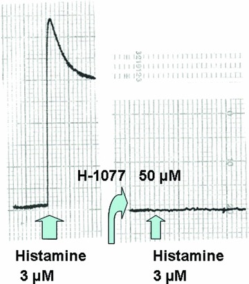 Fig 7