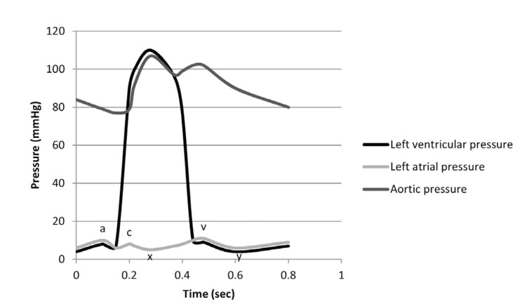Fig. (2)