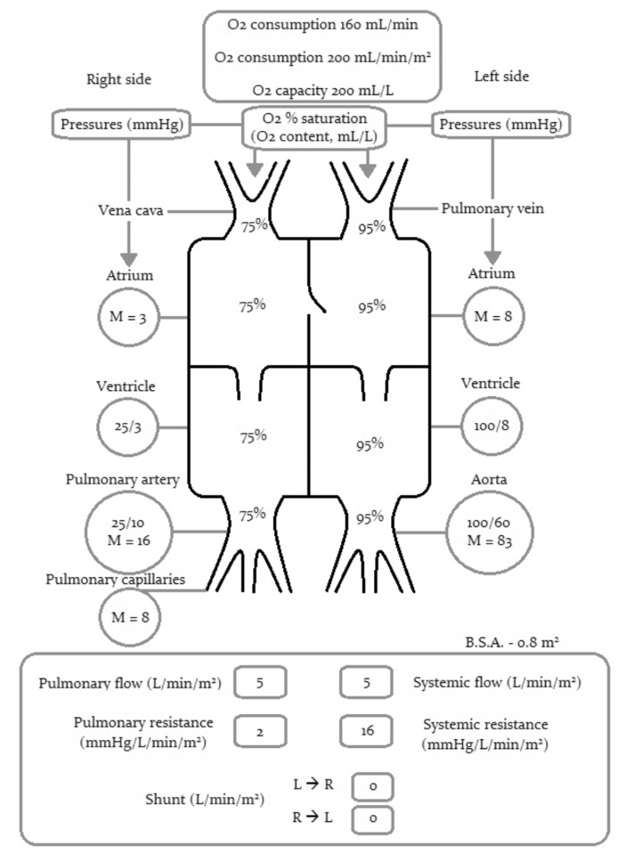 Fig. (1)