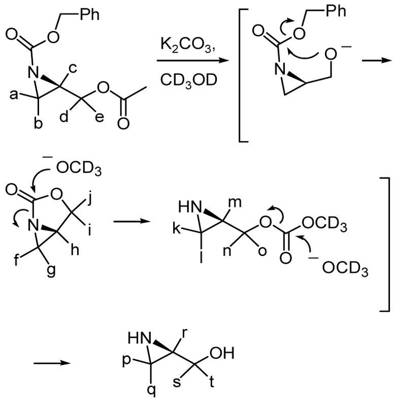 Scheme 4