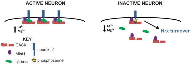 Fig. 8