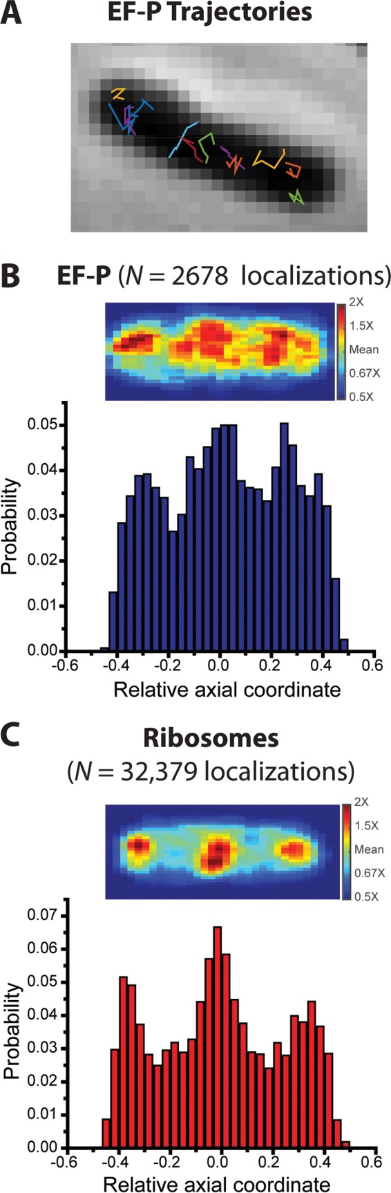 FIG 2 