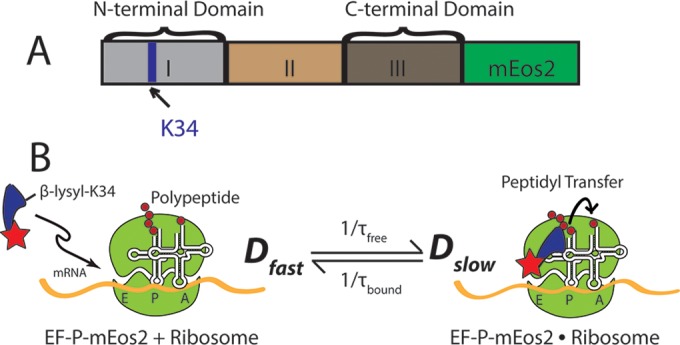 FIG 1 