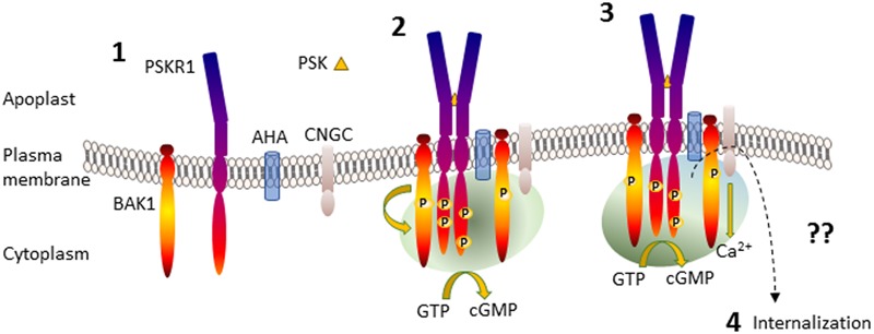 FIGURE 2