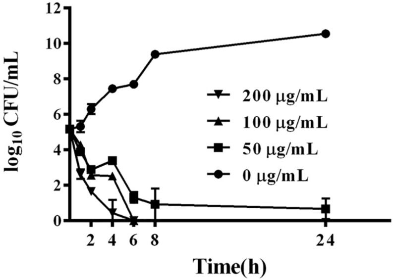 FIGURE 2