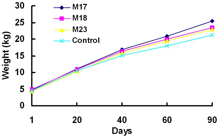 Figure 4