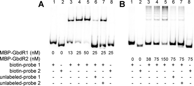 FIG 5