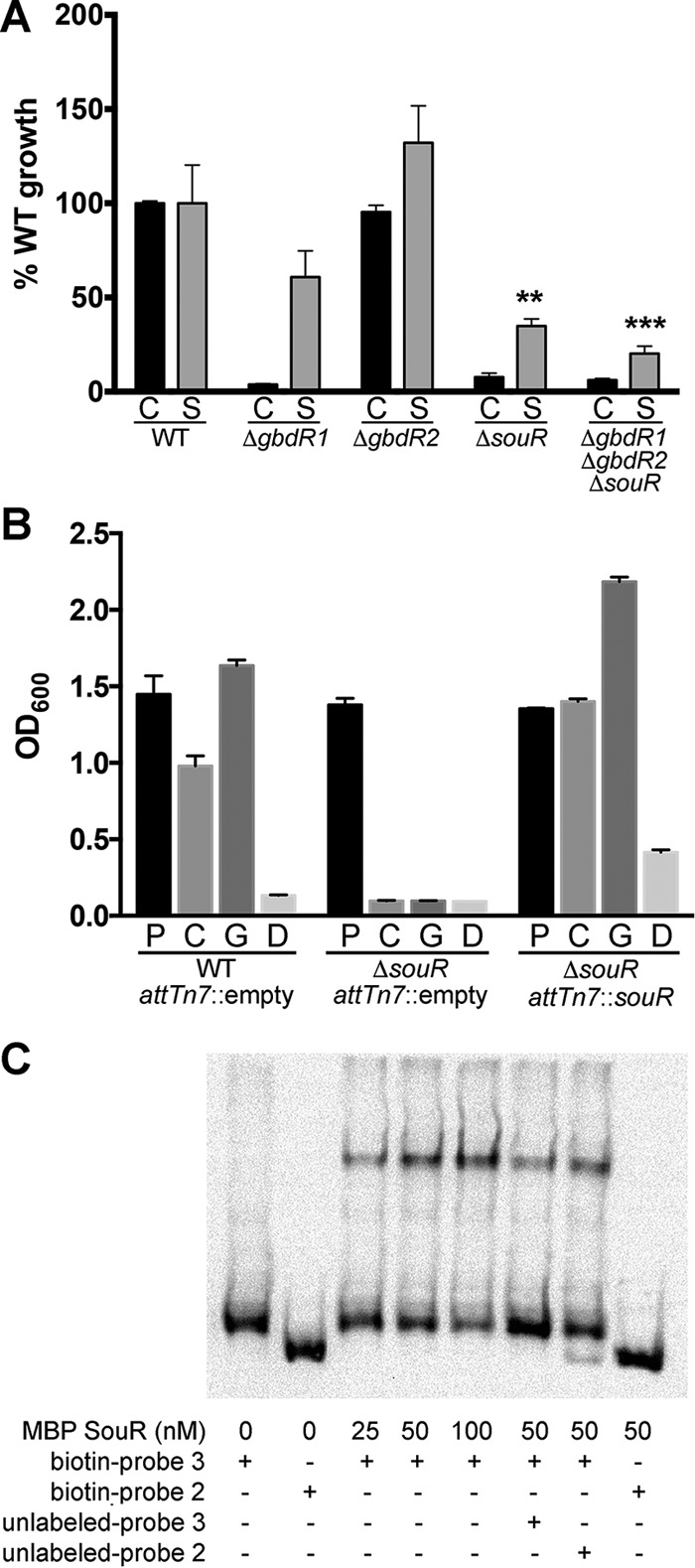 FIG 6