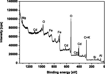 Fig. 8