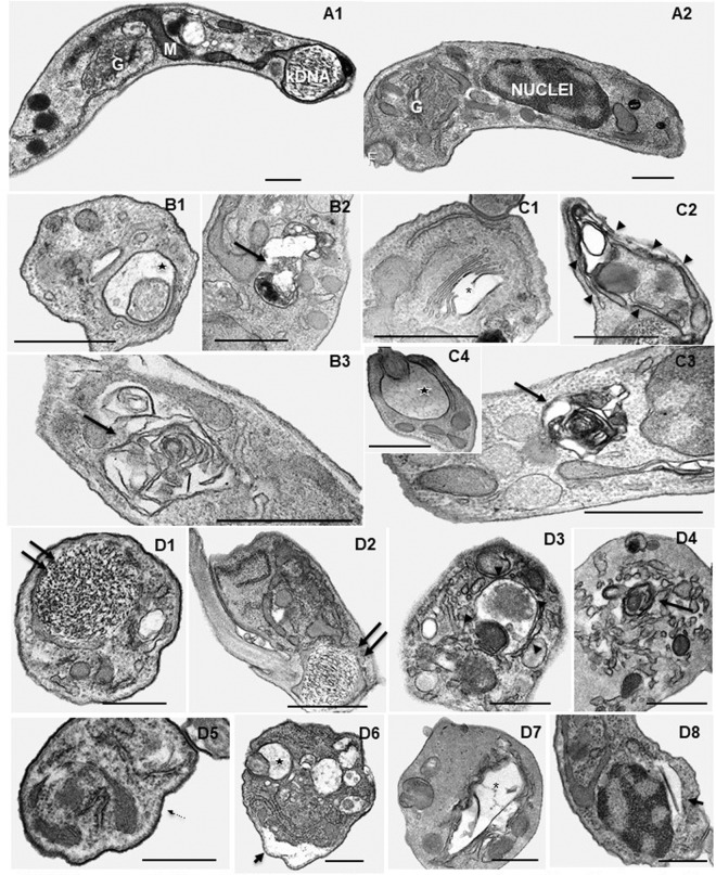 FIG 3