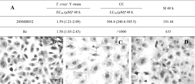 FIG 1