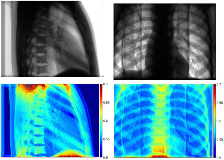 Figure 6.