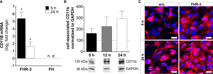 Figure 7