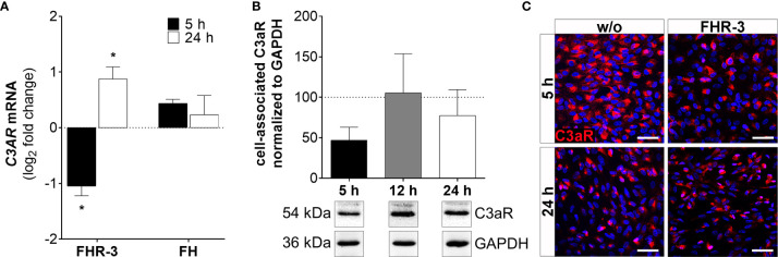 Figure 6