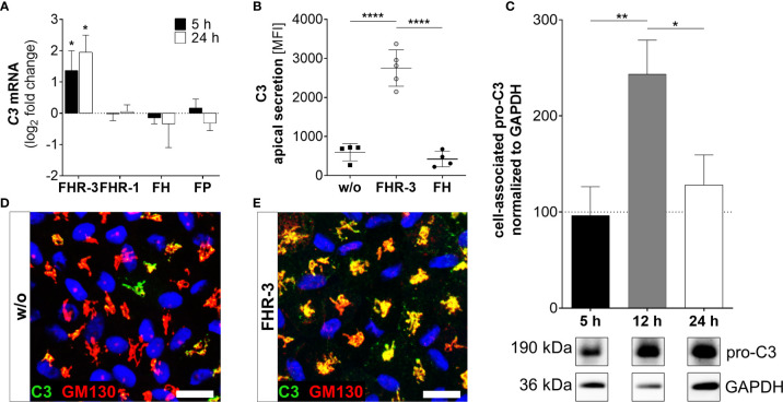 Figure 3