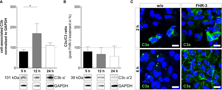 Figure 4