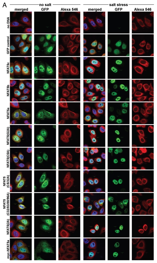 Figure 4A