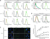 <b>FIG. 3.</b>