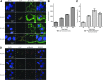 <b>FIG. 4.</b>