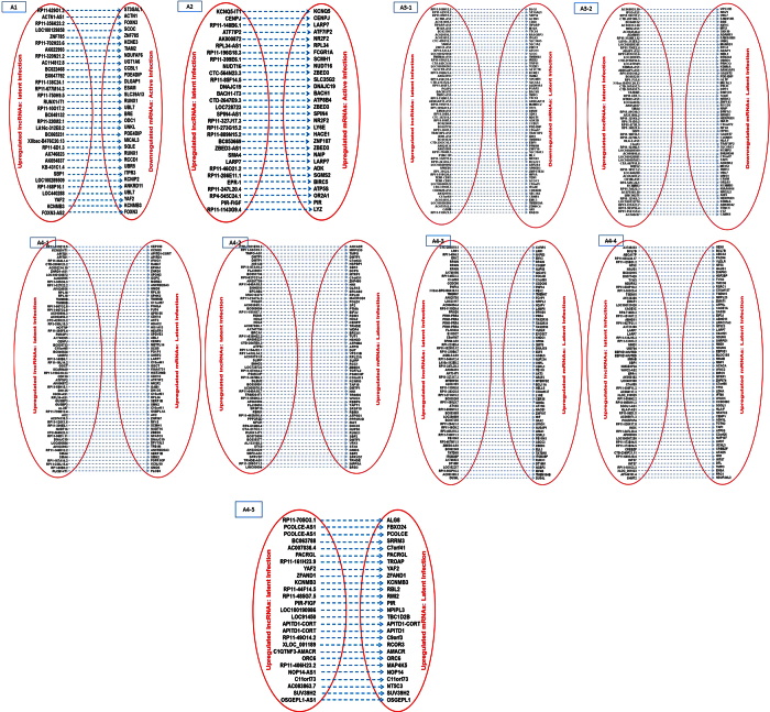 Figure 8