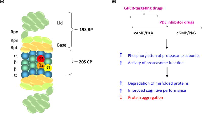 Figure 1, Key Figure