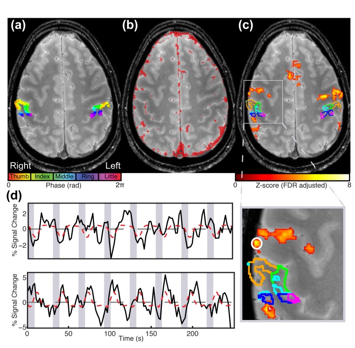 Figure 3—figure supplement 1.