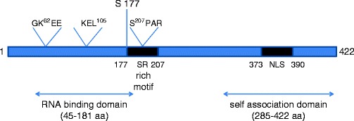 Fig. 9.1