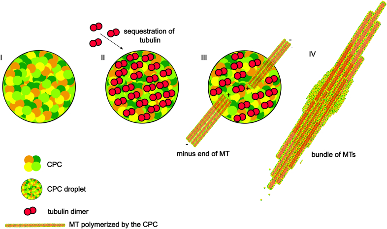 Figure 7